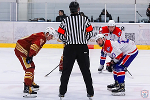 Хоккейный матч МФЮА — Феникс